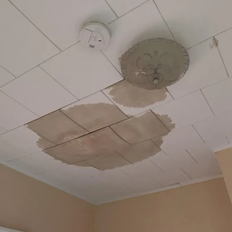 Ceiling Water Damage Repair in Johnstown, CO