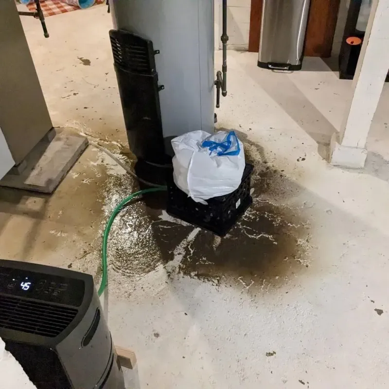 Sewage Backup Cleanup Service in Johnstown, CO